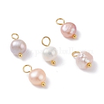 Encantos naturales de perlas cultivadas de agua dulce, con pasadores de cabeza esférica de latón dorado, oval, color de concha, 10~12x5.5~7x4.5~6mm, agujero: 2.4~2.7 mm