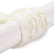 Нити бусин из натуральных пресноводных ракушек BSHE-S304-08