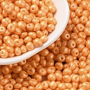 6/0 стакан бисер SEED-L011-08A-19