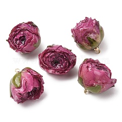 Colgantes de resina epoxi de latón, colgantes interiores de flores secas, encanto de flor de rosa, con lazo dorado, medio de la orquídea, 19~27x21~27x19~28.5mm, agujero: 1.6 mm