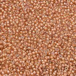 Perline rotonde miyuki rocailles&nbsp;X-SEED-G007-RR3734