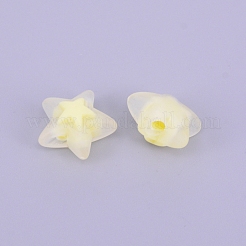 Perline acrilico trasparente&nbsp;FACR-CJC0001-02D
