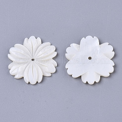 Shell perle naturali di acqua dolce&nbsp;SHEL-N026-29