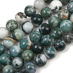 Chapelets de perles en agate d'arbre naturelle&nbsp;G-I199-03-10mm