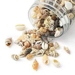 12 Arten natürliche gemischte Muschelperlen&nbsp;SSHEL-YW0001-05