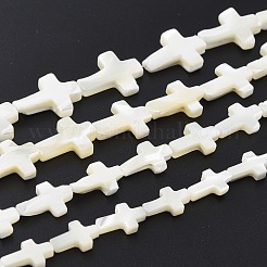 Natürliche Trochidschale / Trochusschalenperlenstränge&nbsp;SSHEL-K027-02