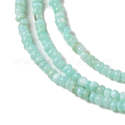 Eau douce naturelle de coquillage perles brins&nbsp;SHEL-P017-01A-08