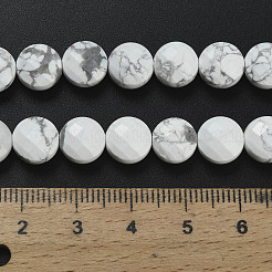 Natürliche Howlith Perlen Stränge&nbsp;G-F812-B01-01