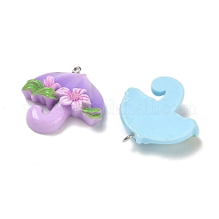 Pendentifs en résine&nbsp;RE-CBA098D-03P