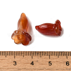 Natürliche Karneolperlen&nbsp;G-C054-09F