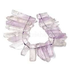 Natürlichen Amethyst Perlen Stränge&nbsp;G-S386-D04