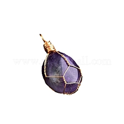 Drahtumwickelte natürliche Amethystanhänger&nbsp;PW-WG0D471-01
