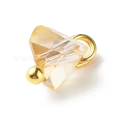 Breloques de verre électrolytique&nbsp;PALLOY-JF00821-07