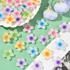 50 Stück 5 Farben transparente Harz Cabochons&nbsp;RESI-SC0006-24
