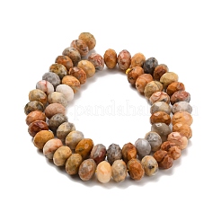 Natur verrückt Achat Perlen Stränge&nbsp;G-C259-A04-8x12mm