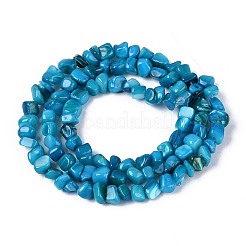 Eau douce naturelle de coquillage perles brins&nbsp;SHEL-N037-04I