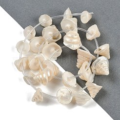 Shell perle naturali fili&nbsp;X-SHEL-K009-11