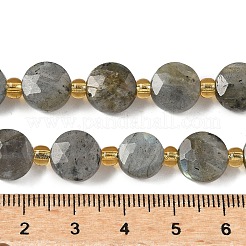 Perline labradorite naturale fili&nbsp;G-G271-C09-10mm