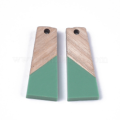 Pendentifs en résine & en bois&nbsp;RESI-S358-59F