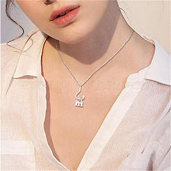 Colliers avec pendentif en 925 argent sterling&nbsp;JN948A