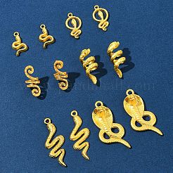 12pcs 6 Arten Legierungsanhänger&nbsp;FIND-FS0003-54