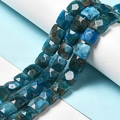 Natürliche Apatit Perlen Stränge&nbsp;G-G980-04