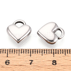 Breloques en acier inoxydable 304&nbsp;STAS-T065-42P