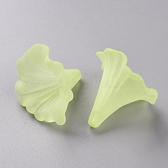 Transparente Acryl Perlen&nbsp;BSF796-C17