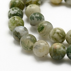 Chapelets de perles en agate d'arbre naturelle&nbsp;G-K194-10mm-02
