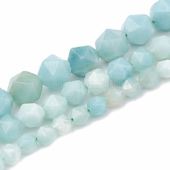 Fili di perline amazonite naturale&nbsp;G-S332-10mm-009