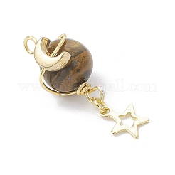 5 pezzo&nbsp;PALLOY-JF04546-S