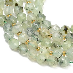 Chapelets de perles en préhnite naturelle&nbsp;GG-CBA3921-B13-8mm