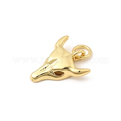 Pendentifs en laiton&nbsp;KK-I364-47G