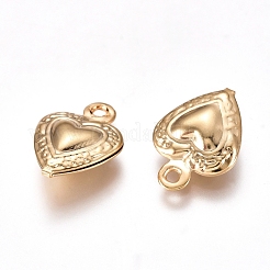 Anhänger aus 304 Edelstahl&nbsp;STAS-I138-14G