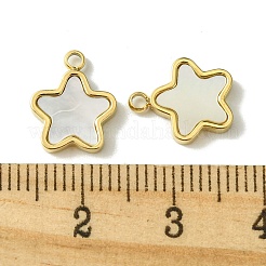 Ionenplattierung (IP) 304 Edelstahl Pavé Muschel Stern Charms&nbsp;FIND-Z028-26G