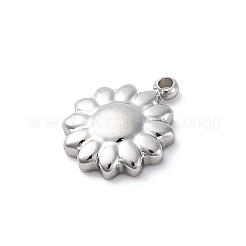Ciondoli in acciaio inossidabile 304&nbsp;STAS-S163-08A-P