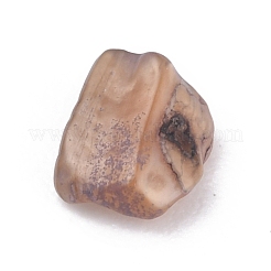 Perline di conchiglie naturali&nbsp;BSHE-B003-10