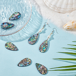 8 Stück natürliche Paua-Muschel/Abalone-Muschel-Anhänger&nbsp;SHEL-BC0001-048B
