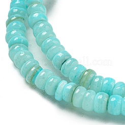 Tinti d'acqua dolce naturale perline shell fili&nbsp;BSHE-G039-07C