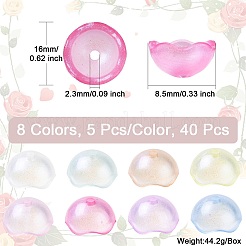 40 Stück 8 Farben transparente Kunststoffperlenkappen&nbsp;KY-CJ0001-97