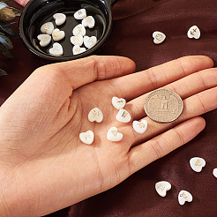 24 Stück 12 Stile natürliche weiße Muschelperlen&nbsp;BSHE-TA0001-10