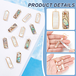 12 Stück 2 Stile natürliche Paua-Muschel/Abalone-Muschel-Anhänger&nbsp;FIND-BC0013-35
