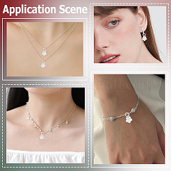 5 pièce 925 breloques en argent sterling&nbsp;STER-BBC0009-44B