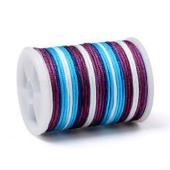 Fil de polyester teint par segment&nbsp;NWIR-I013-B-13