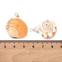 50 Stück Set mit Anhängern und Charms aus verschiedenen natürlichen Muscheln&nbsp;SSHEL-XCP0001-13
