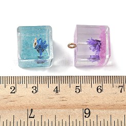 Leuchtende transparente Harzanhänger&nbsp;RESI-Z038-14G