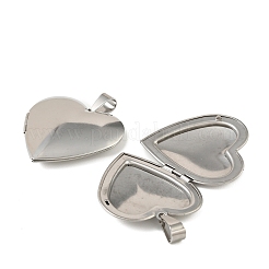 Pendentifs médaillons en acier inoxydable 316&nbsp;STAS-K321-12C-P