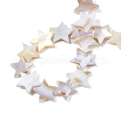 Naturali di acqua dolce perline shell fili&nbsp;SHEL-S278-01C-01
