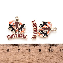 Pendentifs d'émail en alliage&nbsp;ENAM-T025-02G-14