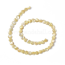 Fili di perle di conchiglia trochid naturale / trochus&nbsp;SHEL-F003-08C